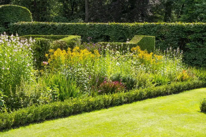 Landscaping project in West London